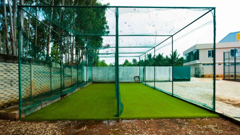 Cricket pitch at New Age